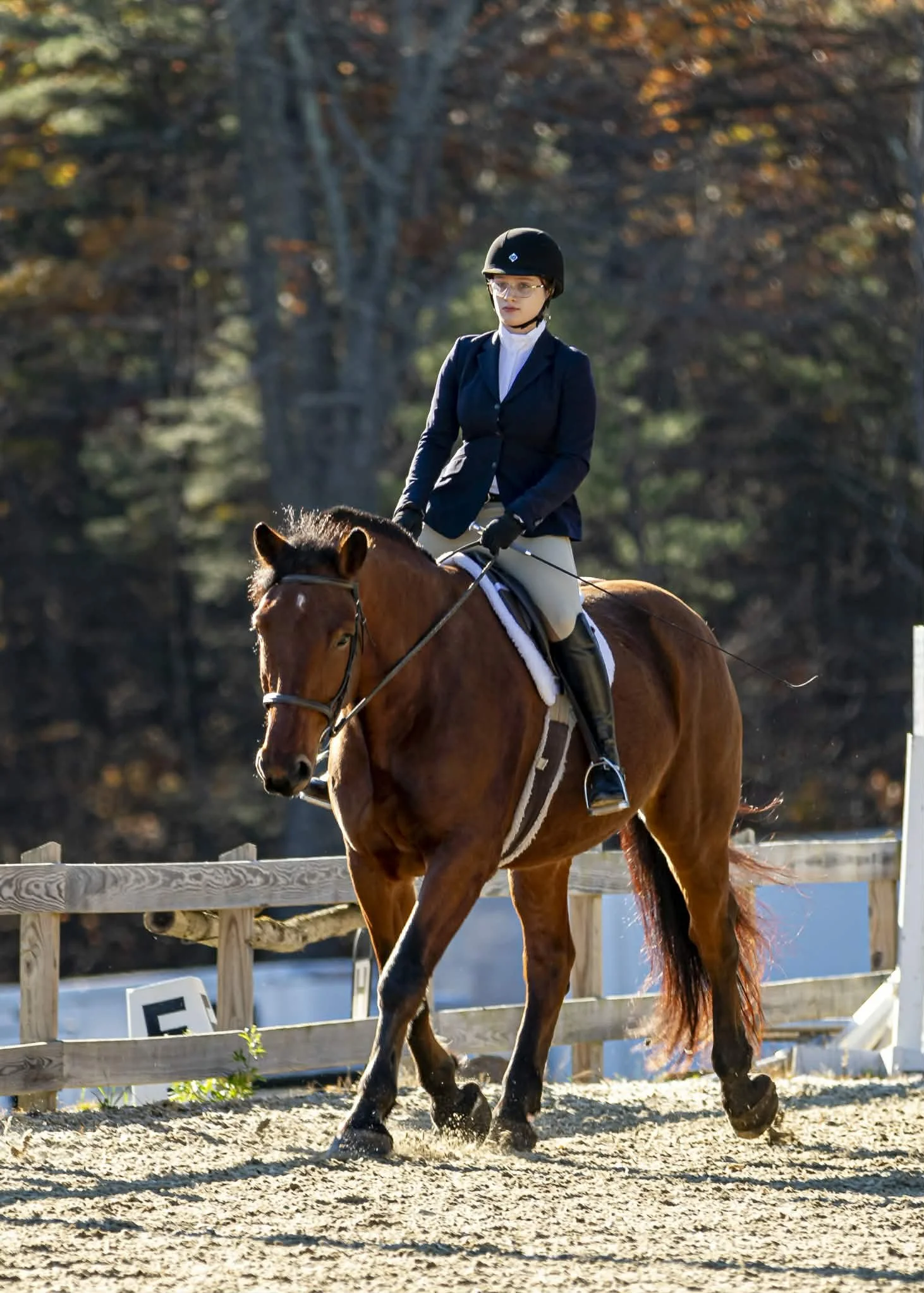 Magnolia 2 Phase Show