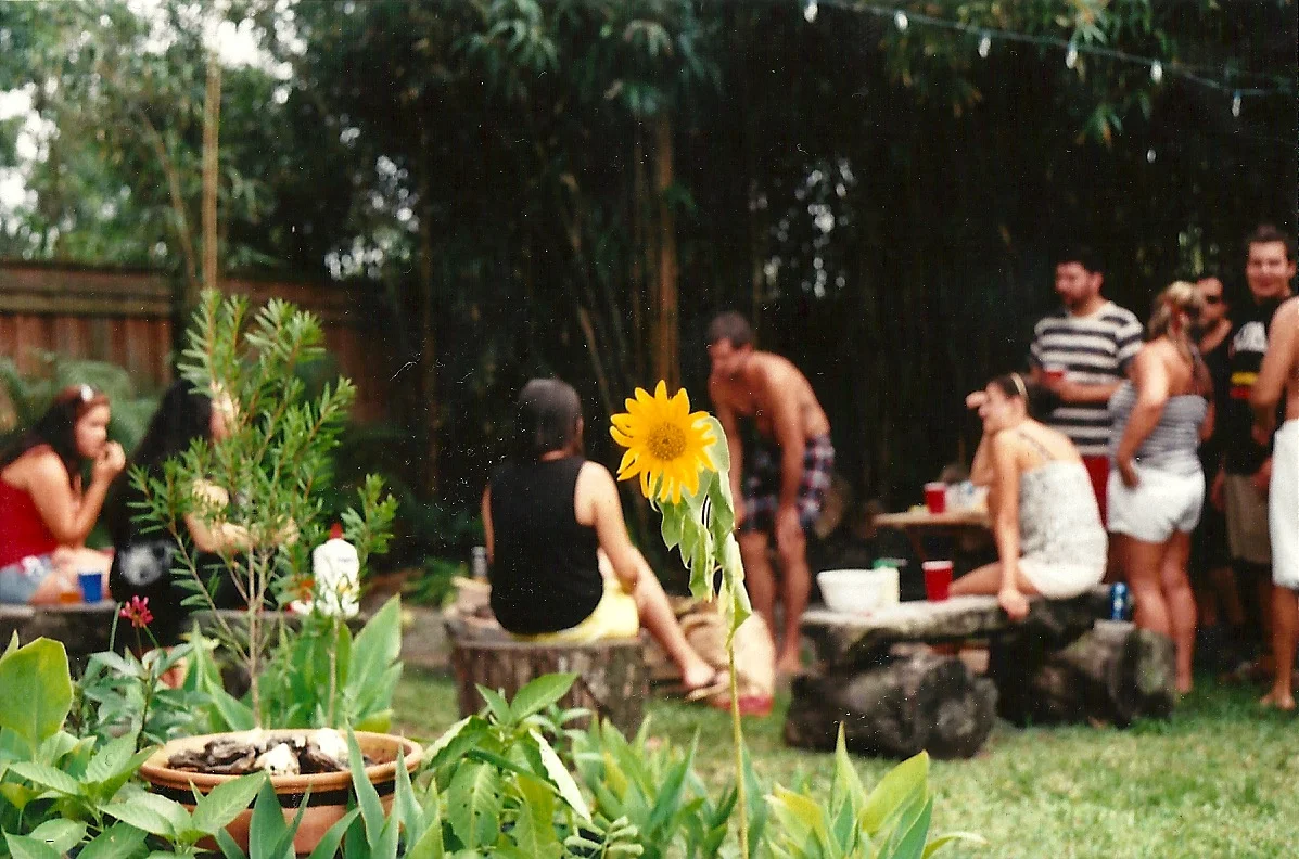 girasol.jpg