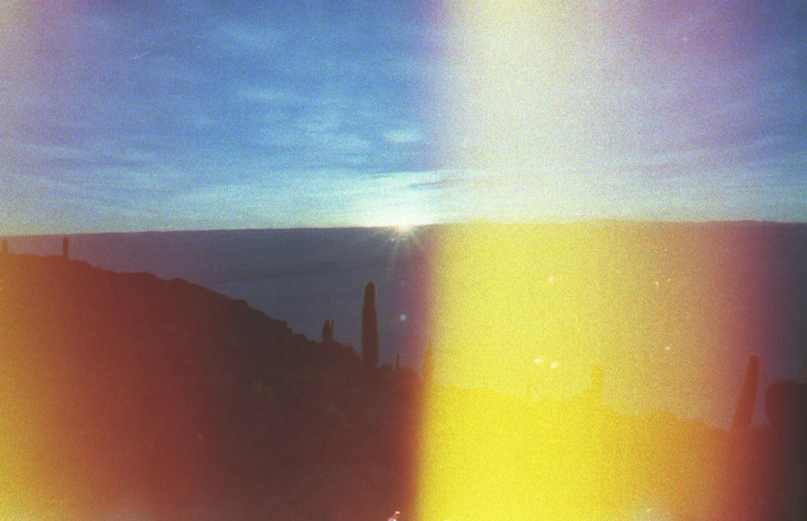 img003.jpg