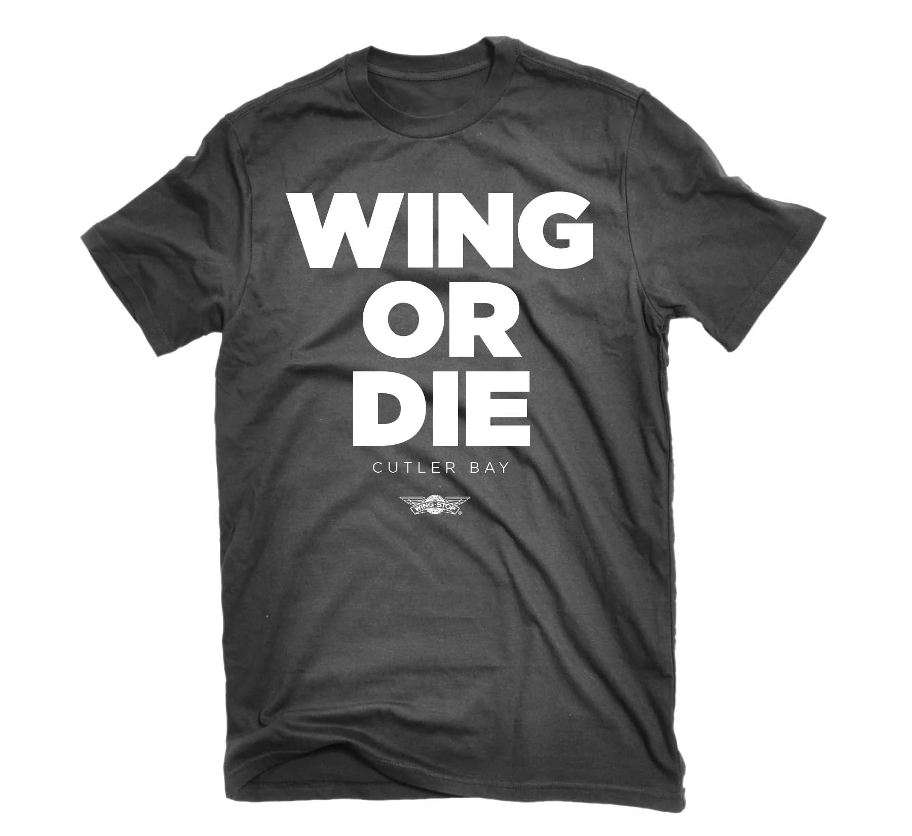 WingsOverEverything5.jpg