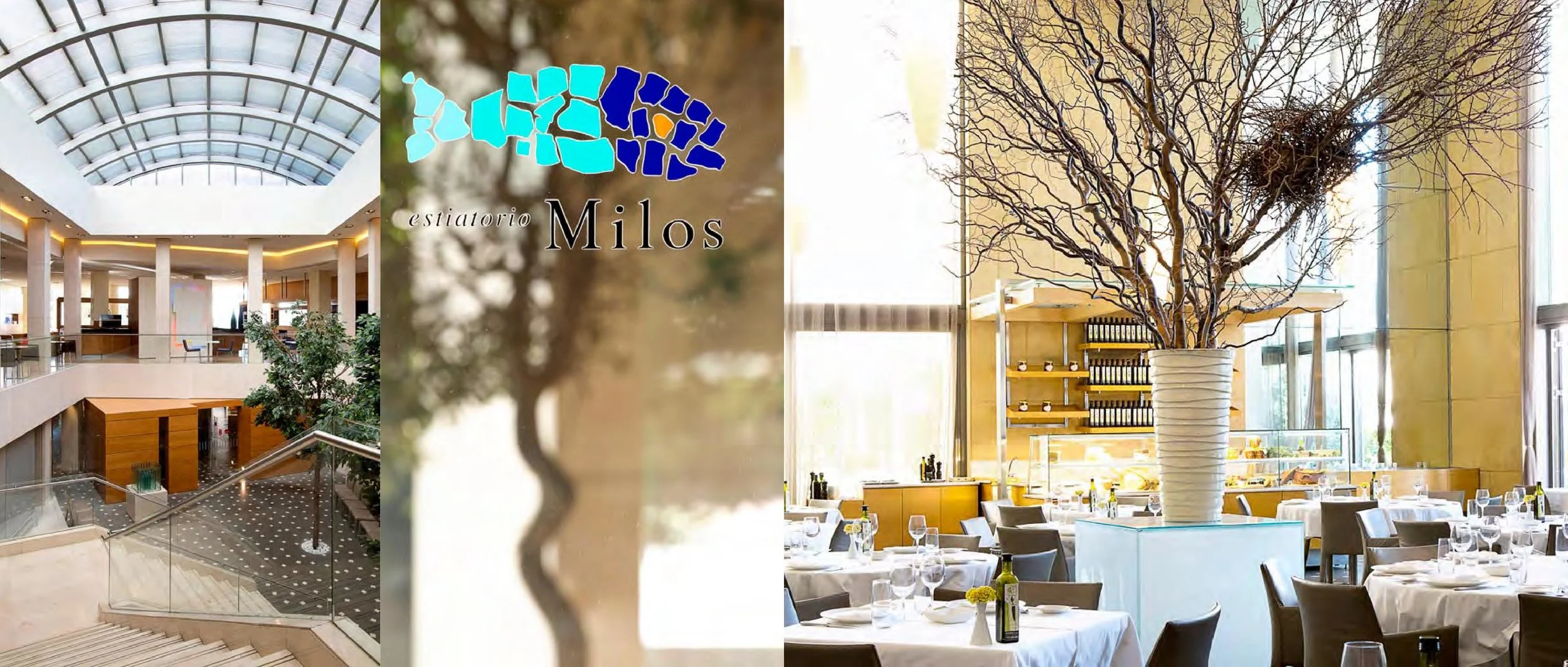 MILOS copy_000014.jpg
