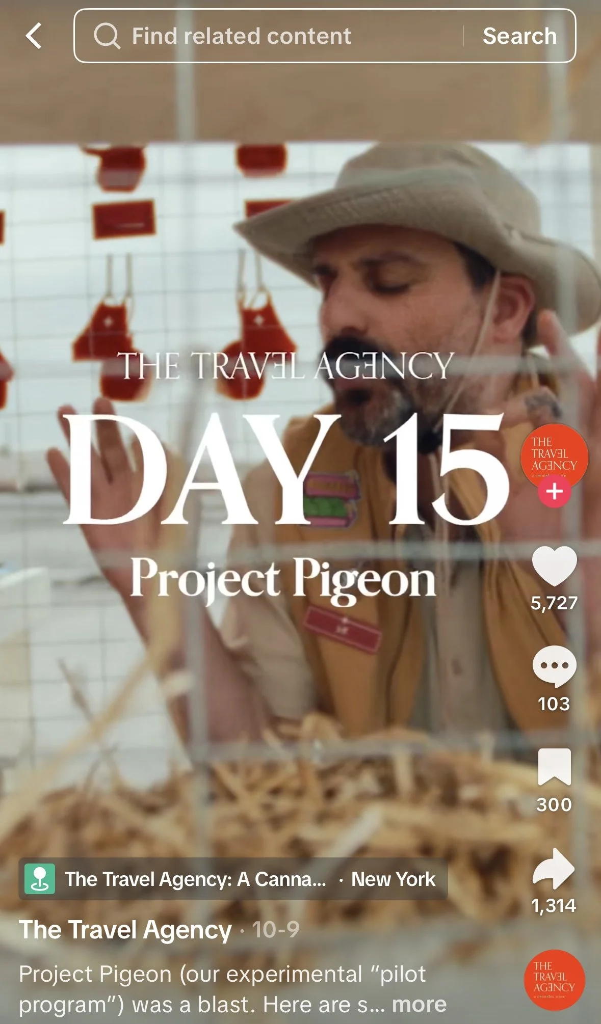 Day 15