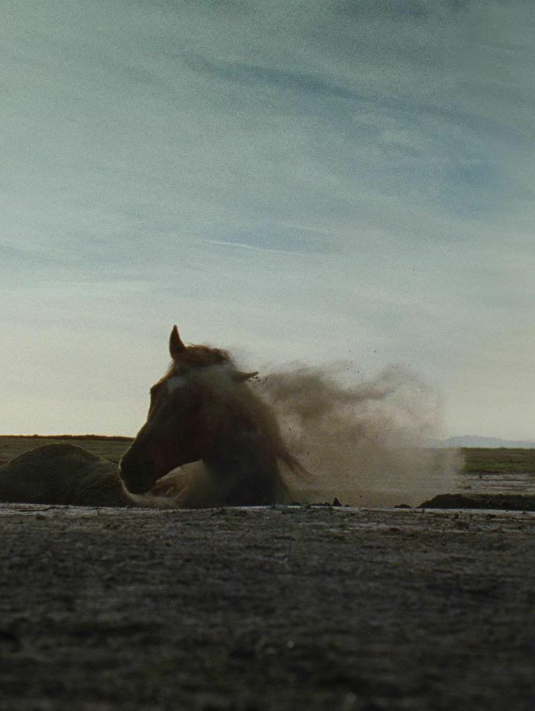 MADONNAHORSE_13.jpg