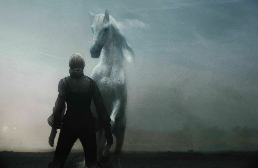 MADONNAHORSE_26.jpg