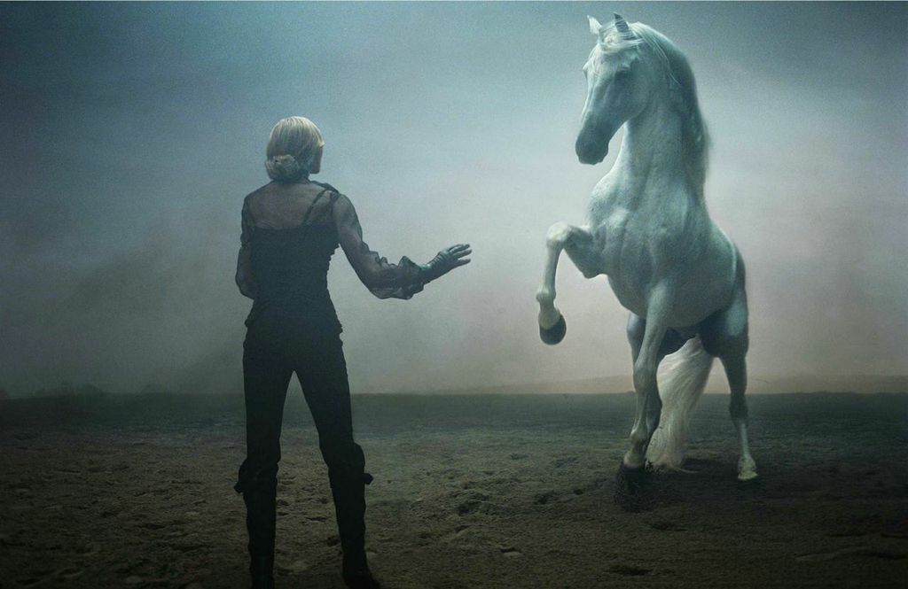 MADONNAHORSE_28.jpg