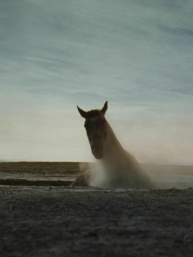 MADONNAHORSE_33.jpg