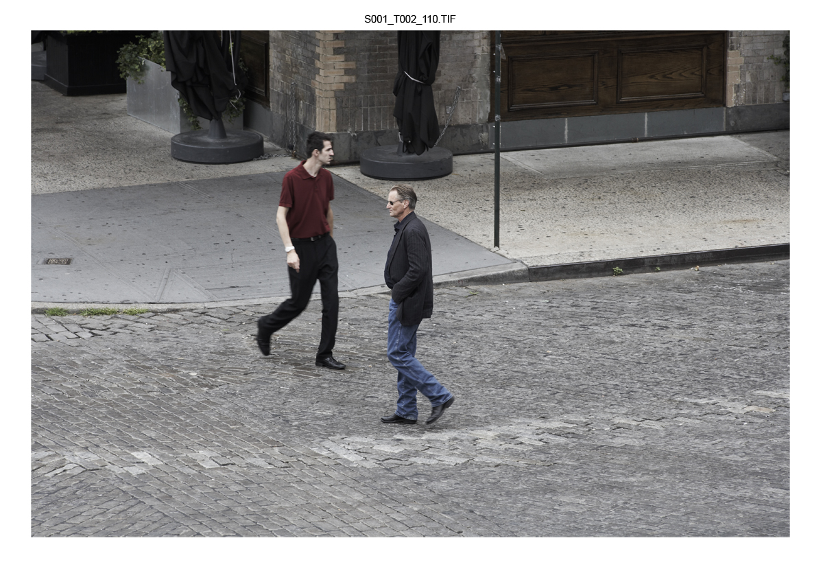 SAMSHEPARD_004.jpg