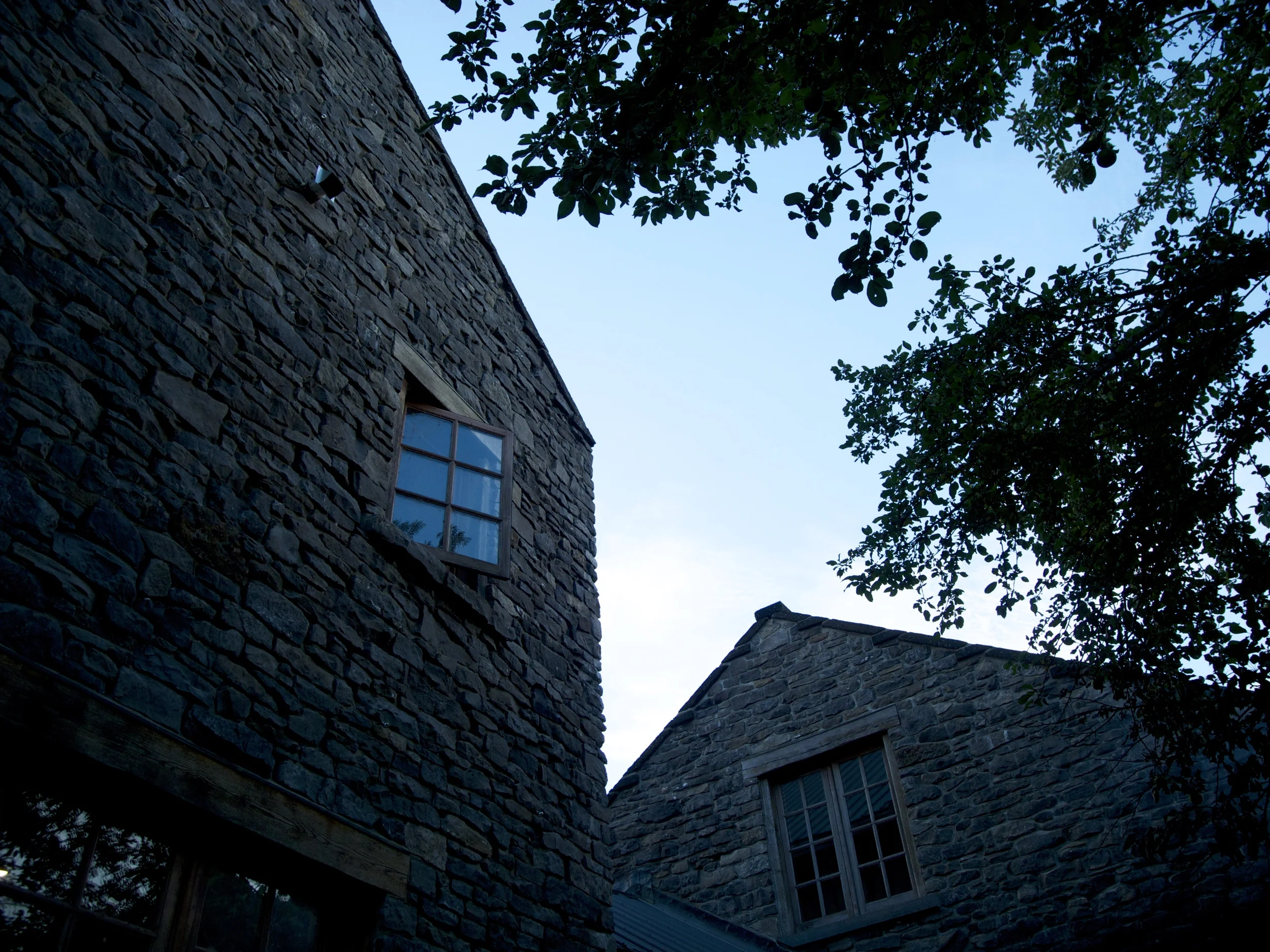 DSCN5085.jpg