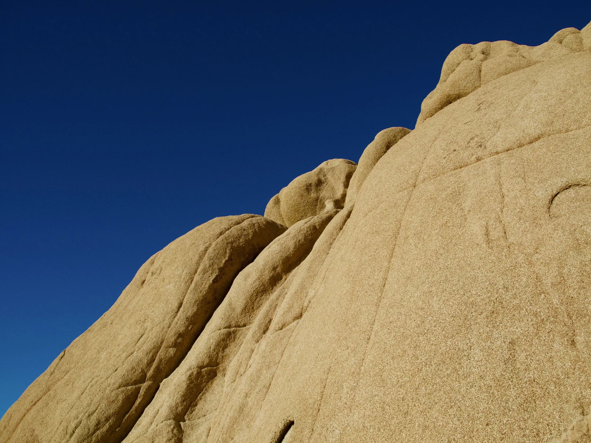 DSCN3190.jpg