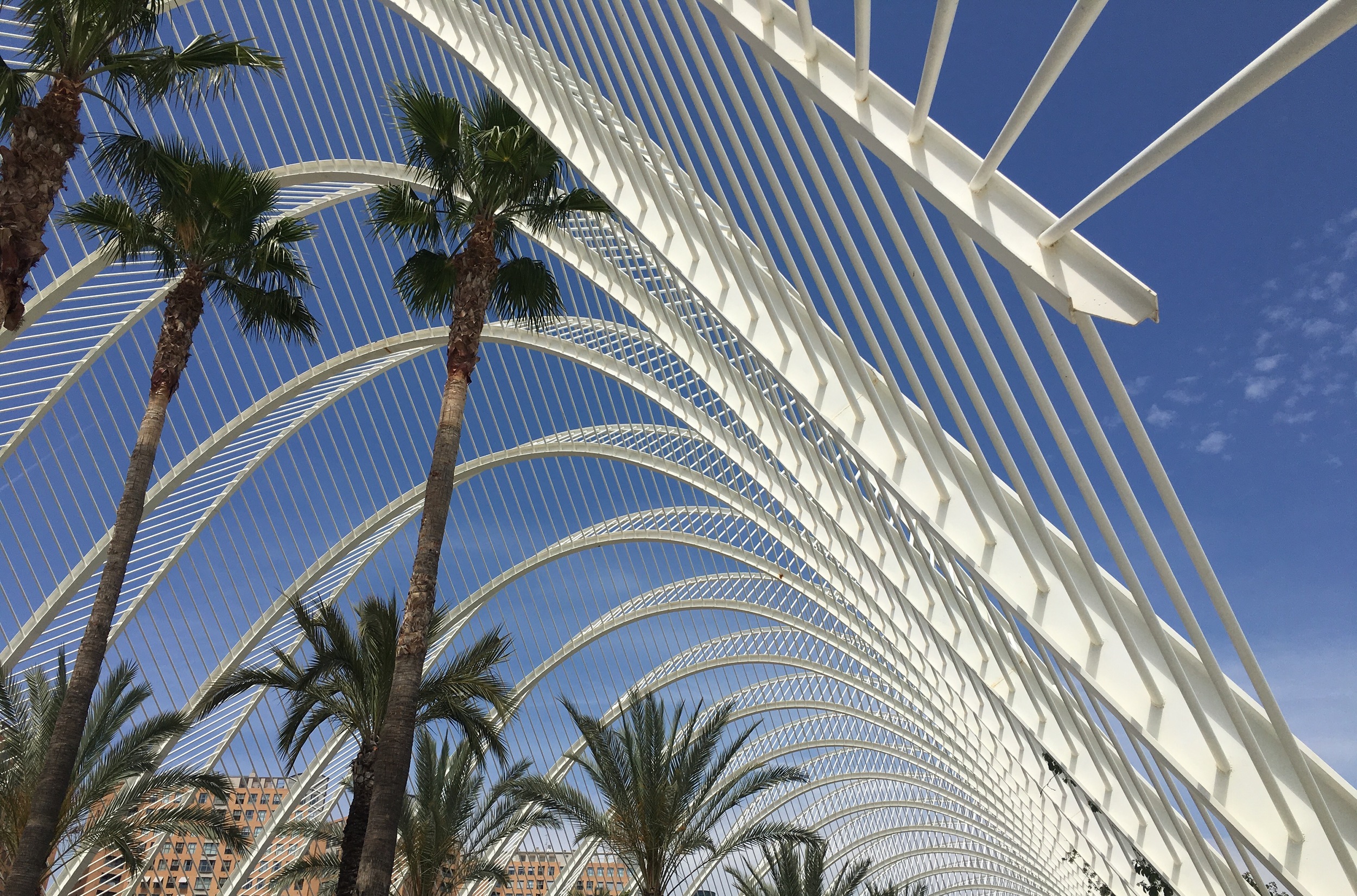 L'Umbracle- perfect spot for people watching under the palm trees