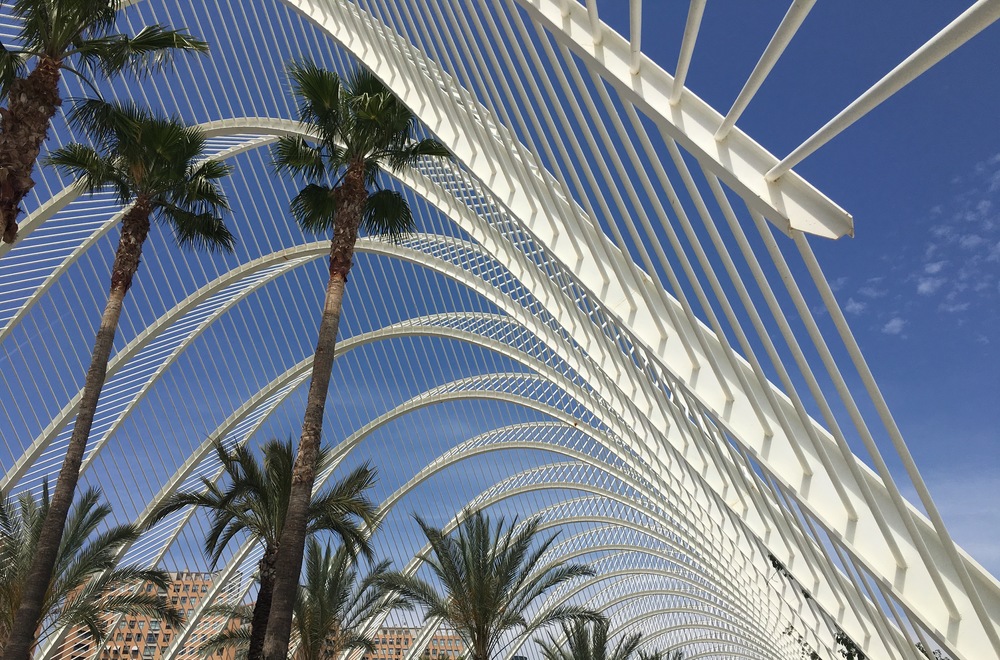 L'Umbracle- perfect spot for people watching under the palm trees