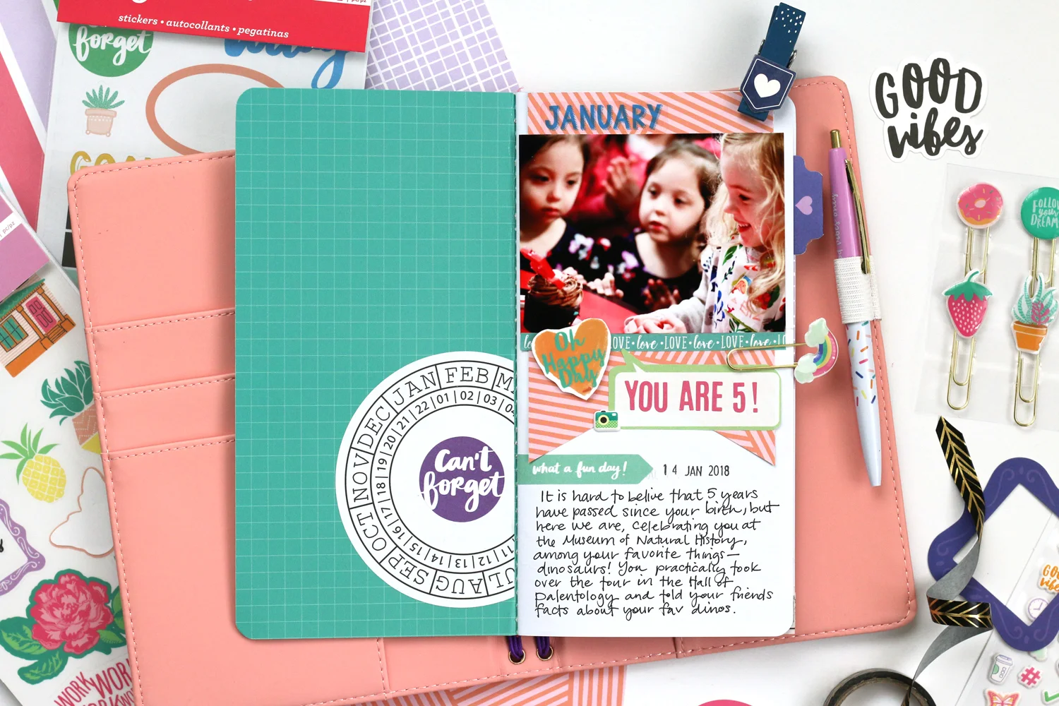 AmericanCrafts_MeghannAndrew_JournalStudioCollection_HelloLizzyNotebook_02.jpg