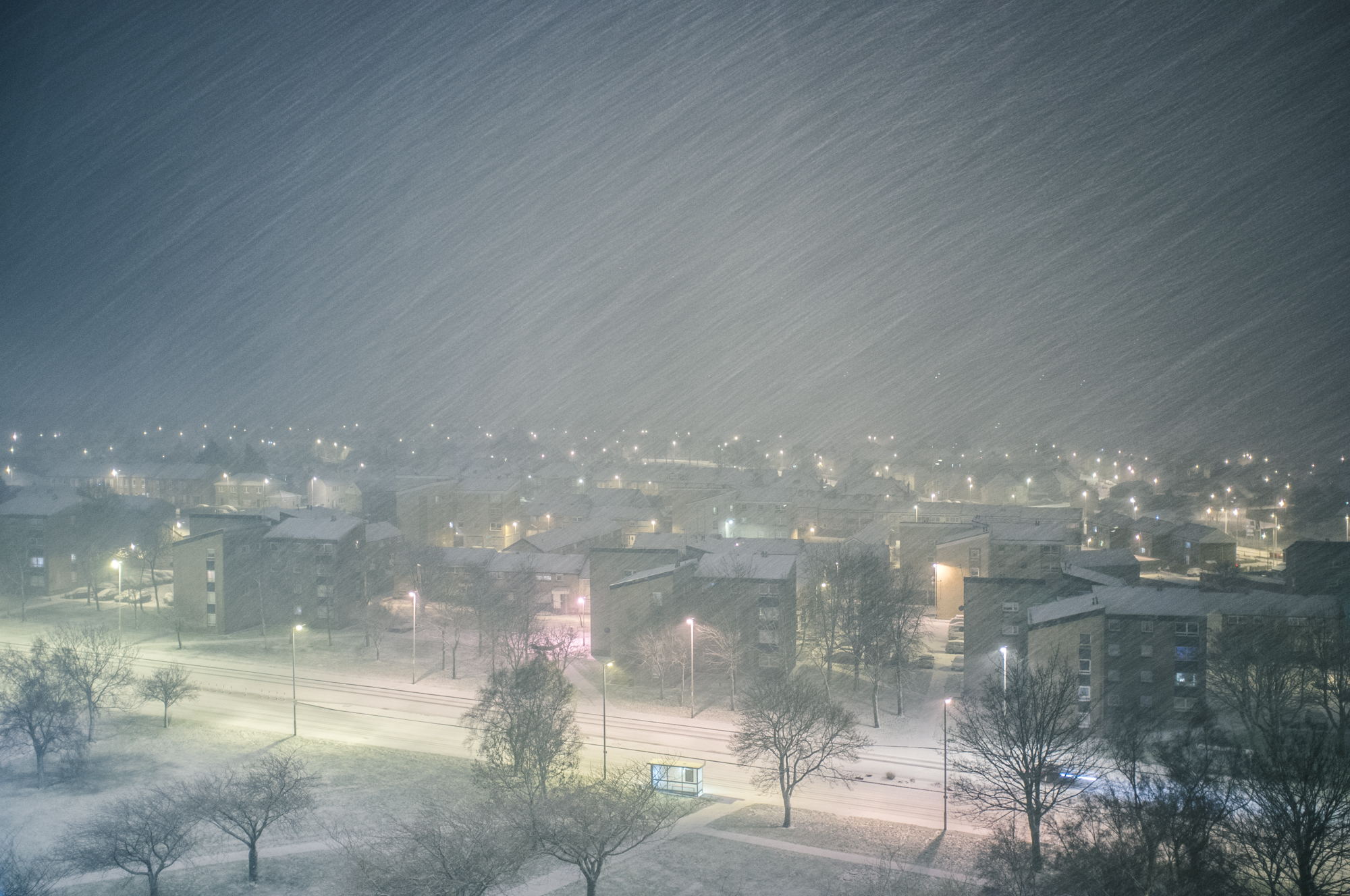 snow-4230.jpg