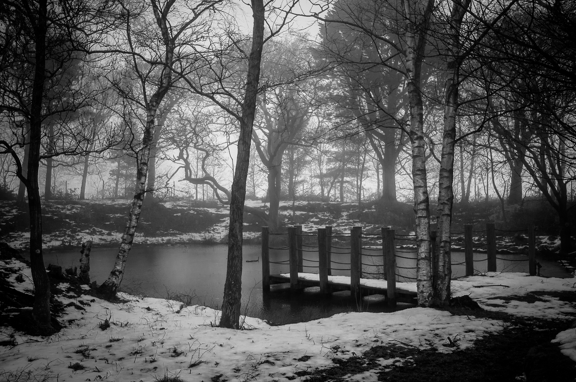 lyme_park-6013.jpg