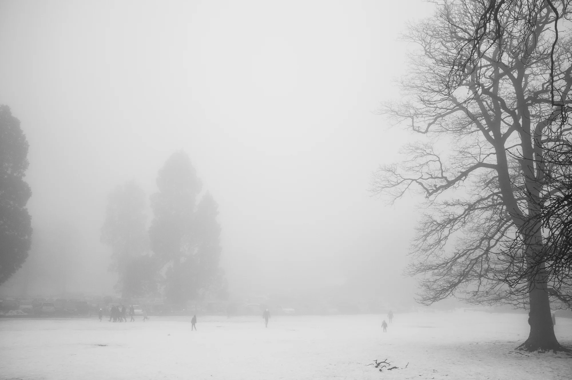 lyme_park-5971.jpg