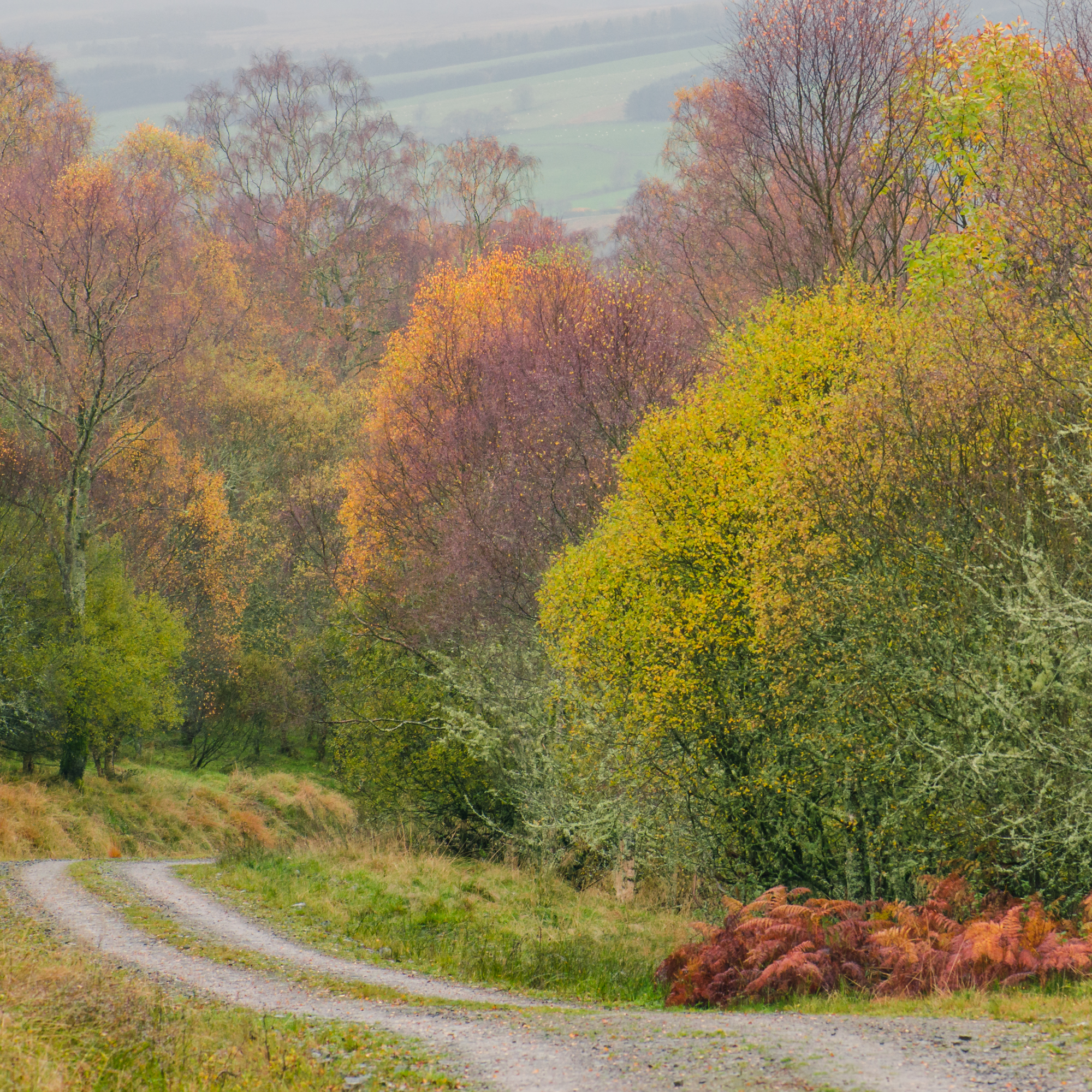 aberfeldy-6502.jpg