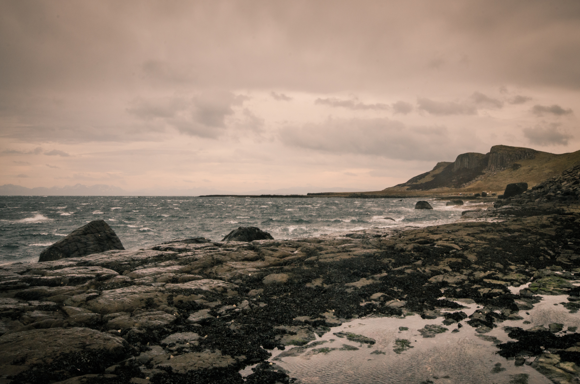skye-6776.jpg