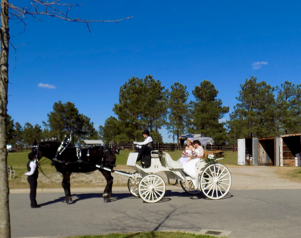 Just Married!