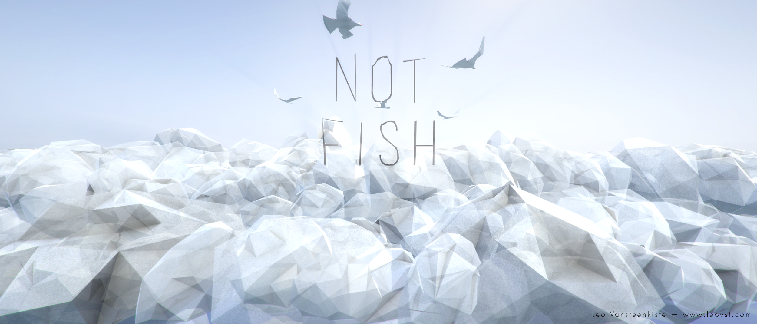 Not Fish Intro