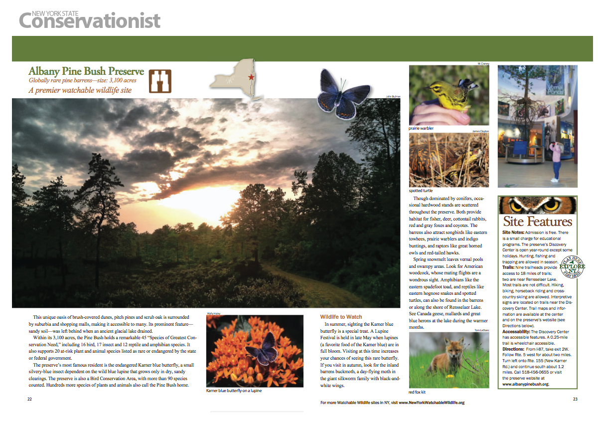 pinebush_spread_0314.png