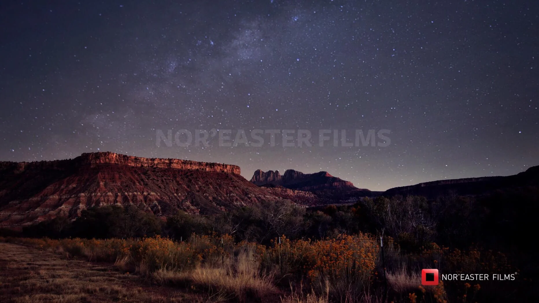 Desert Night in Zion National Park, Utah
