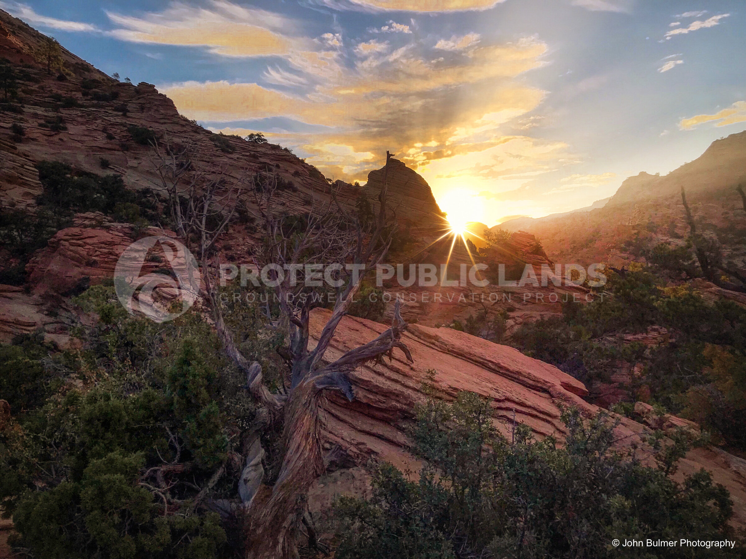 Zion National Park 7