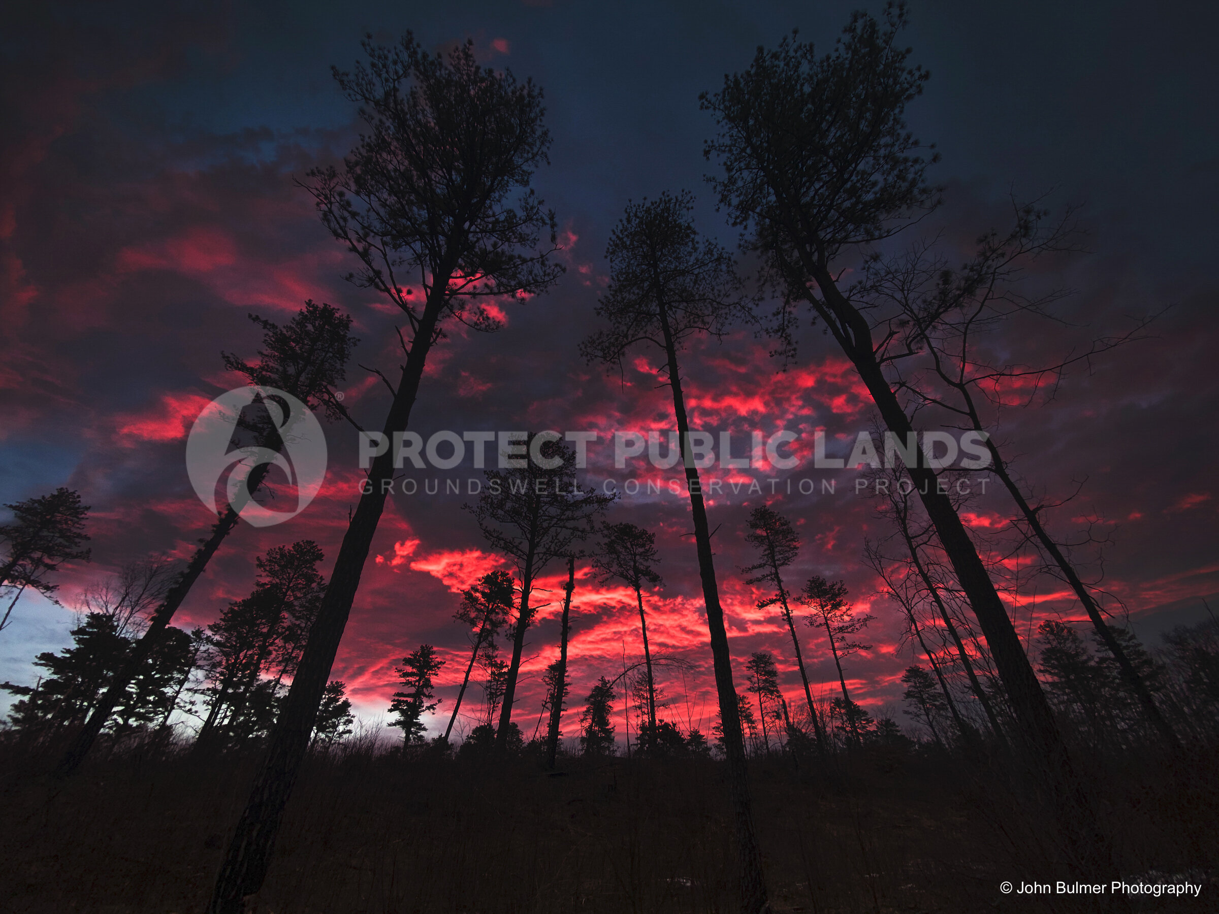 Pine Bush Sky 3