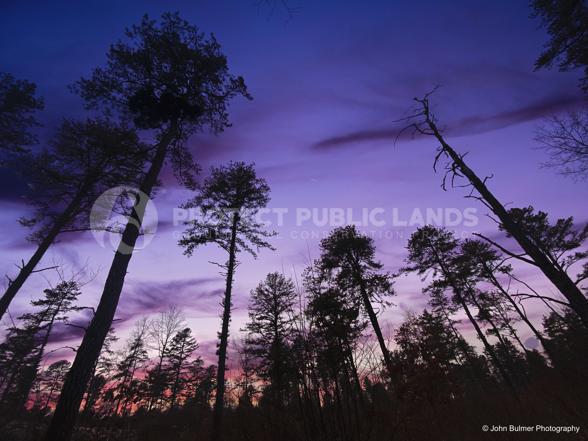 Pine Bush Sky 5