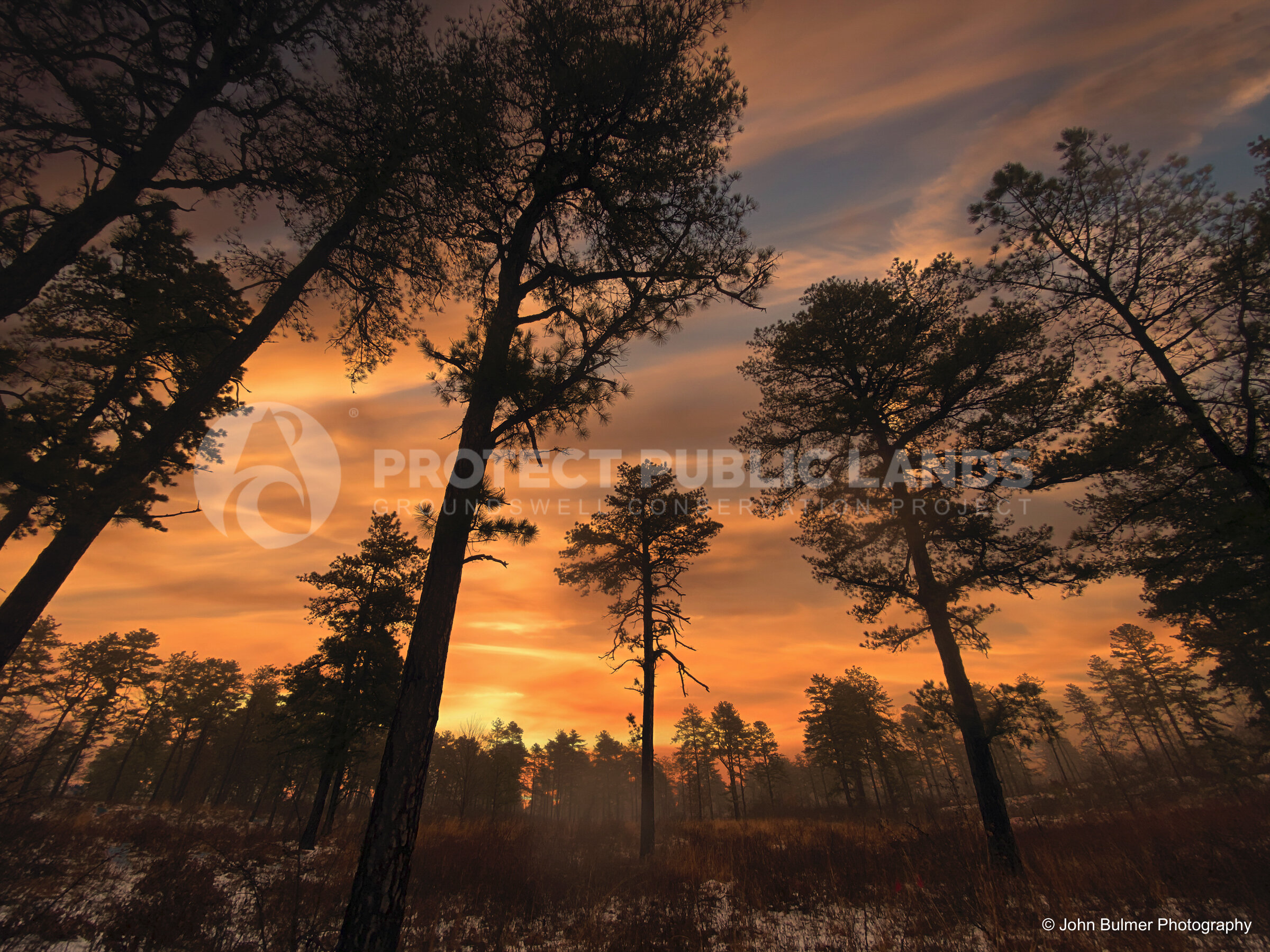 Pine Bush Sky 10