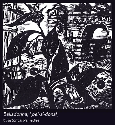 belladonna.jpg