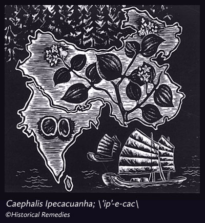 ipecac.jpg