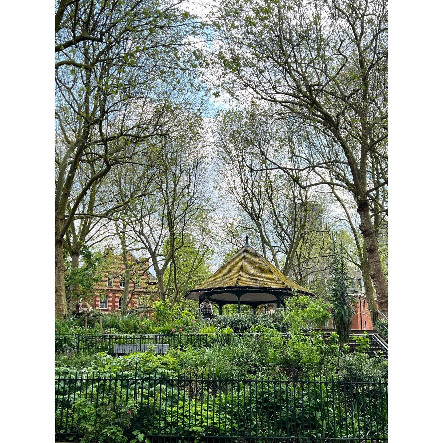 &quot;...it's like a desert under plane trees...&quot;
Stephen Crisp, 
London Gardens Network

#arnoldcircus #boundarygardens #boundaryestate #shoreditch #communitypark #greenspace #volunteer #gardenvolunteer