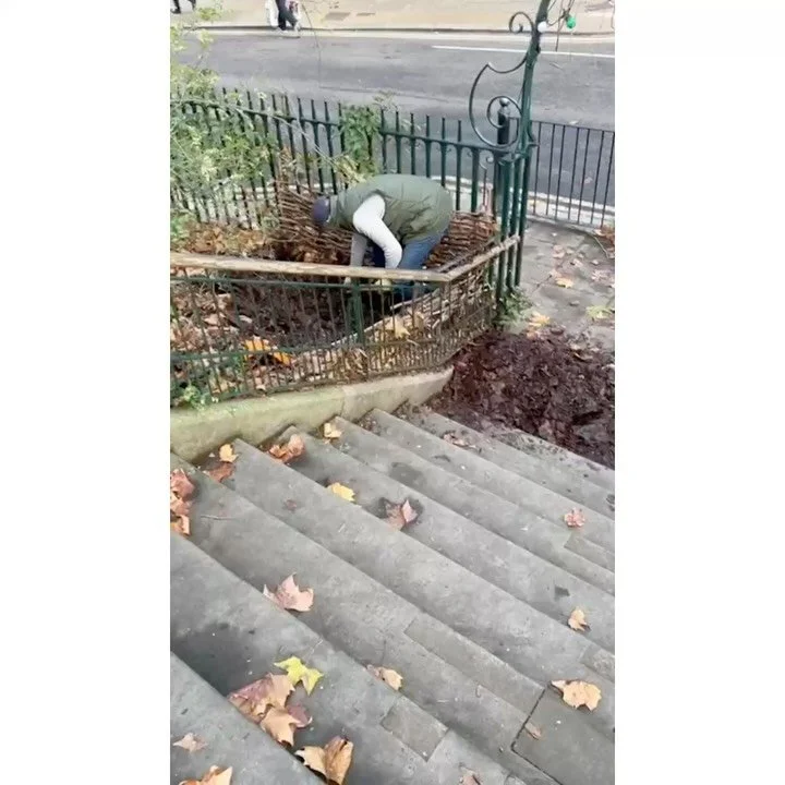 Volunteer Workdays: 28th November '25.

With: Andy, Lucy, Charlie, Bernadette, Pam, Victoria &amp; Jean.

Jean, Andy &amp; Victoria litter picked. 

Gutters and steps were swept, more freshly fallen leaves were collected.

The half bin of leaf mould 