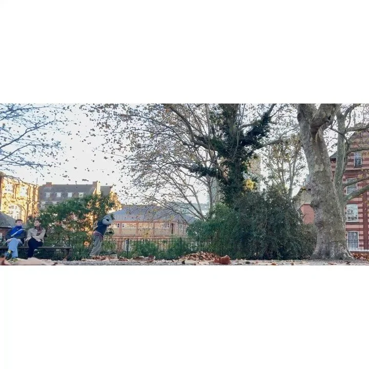 Volunteer Workdays: 21st November '25.

With: Lucy, Chris, Charlie, JP, Bernadette, Pam, Victoria &amp; Jean.

Jean &amp; Victoria litter picked. 
Chris got one shit.

Gutters and steps were swept.

Nearly ready leaf-mould was dug out of a leaf bin a