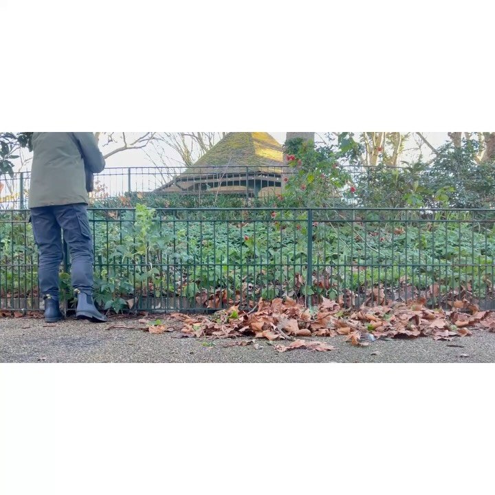 Volunteer Workdays:2nd January '26.

With: Chris, Bernadette, Andy, Kasia, Charlie, Lucy, Pam, Victoria &amp; Jean.

Jean &amp; Andy litter picked. 
Andy got two shits, Chris just the one.

Bernadette swept gutters &amp; steps.  Victoria collected fa