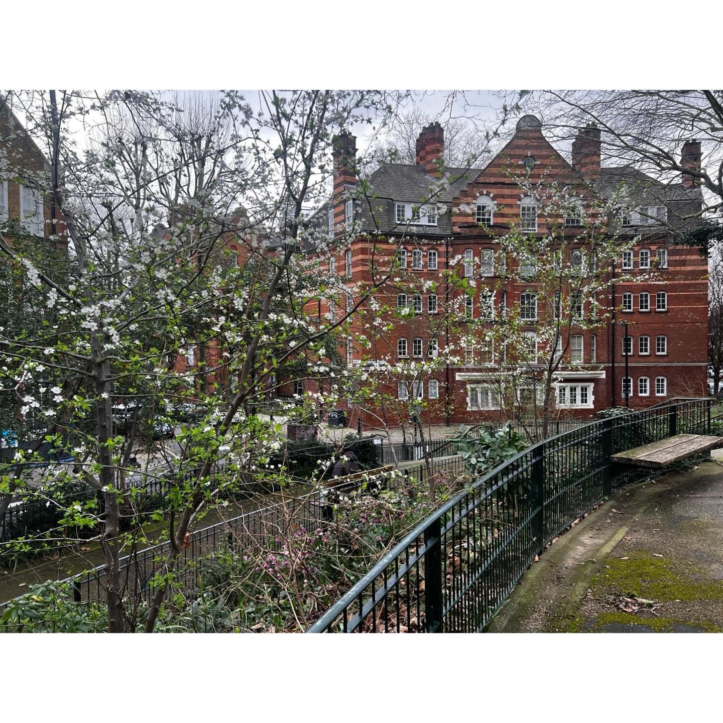 Volunteer Workdays:27th February '26.

With: Lucy, Victoria, Andy, Charlie &amp; Jean.

Jean &amp; Andy litter picked. 
Andy got a couple of shits.

Sticks were gathered and more leaves winkled out of beds. Excess ivy got pulled. All the gubbins off 