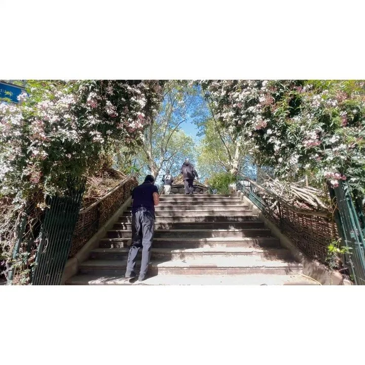 Volunteer Workdays:25th April '26.

With: Jean, Chris, Pam, Charlie, Lucy, Bernadette, Victoria &amp; Aditya.

Jean litter picked. 

Gulleys were swept, steps too.  All sweepings to the compost bins.

Charlie dug out a ton of leafmould &amp; bagged i