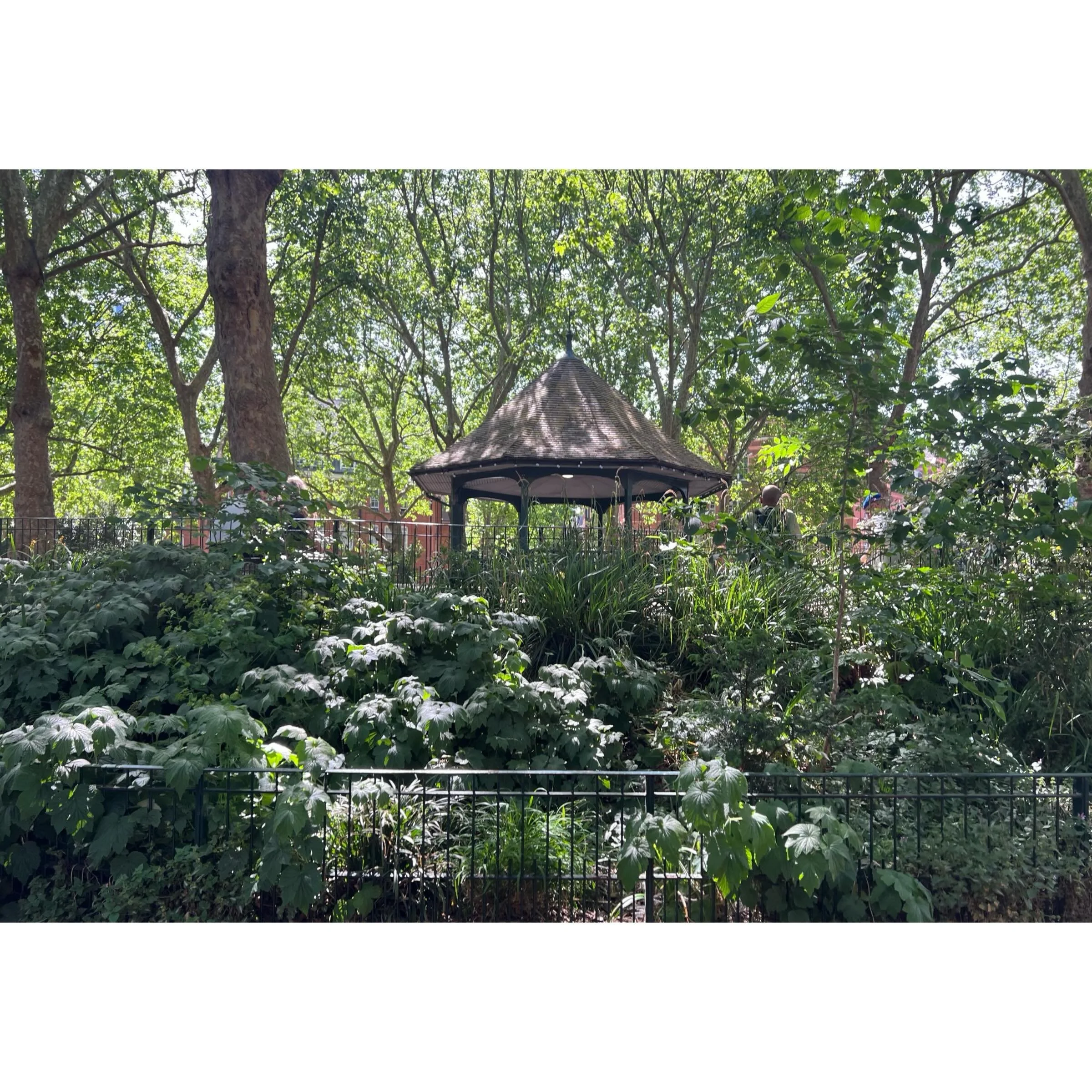 Volunteer Workdays:22nd May '26.

With: Jean, Pam, Bernadette, Chris, Henrietta, Victoria &amp; Andy.

Andy &amp; Jean litter picked. 

Gulleys and steps were swept, and all the sweepings off to the compost bins.

Euphorbias were tidied &amp; lemon b