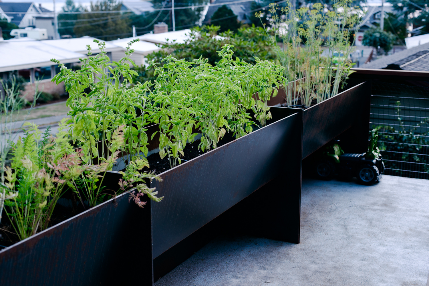 ROOFTOP PLANTERS - SEATTLE, WA
