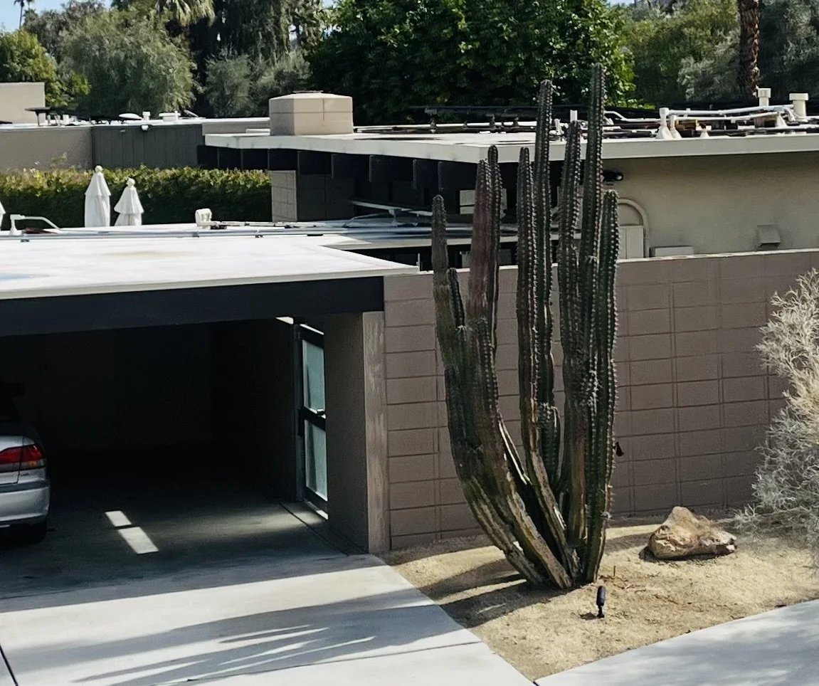 The layering between the cactus, site wall, thin garage roof, and eventually the house creates an entry sequence