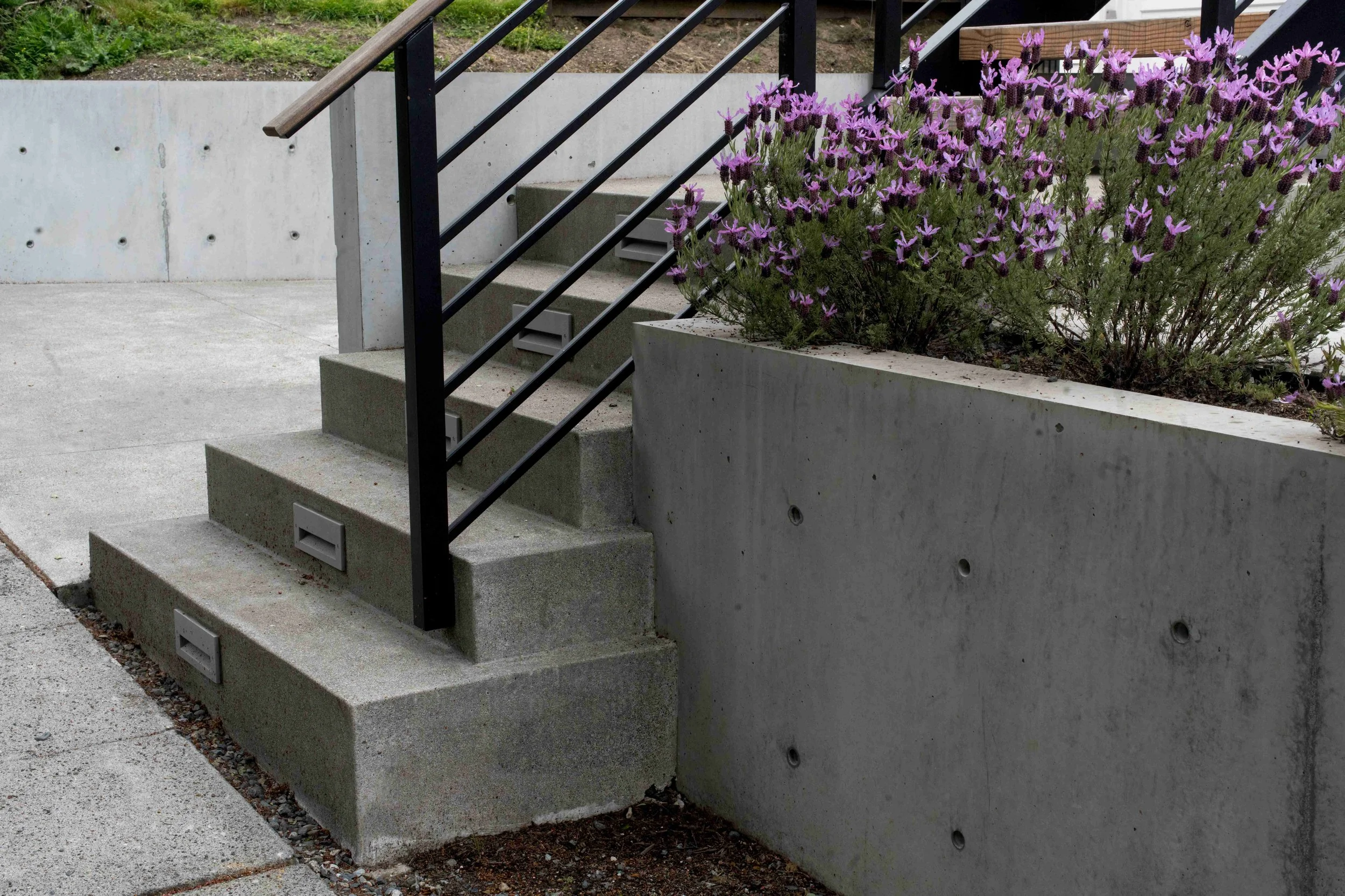 koch17web.jpg