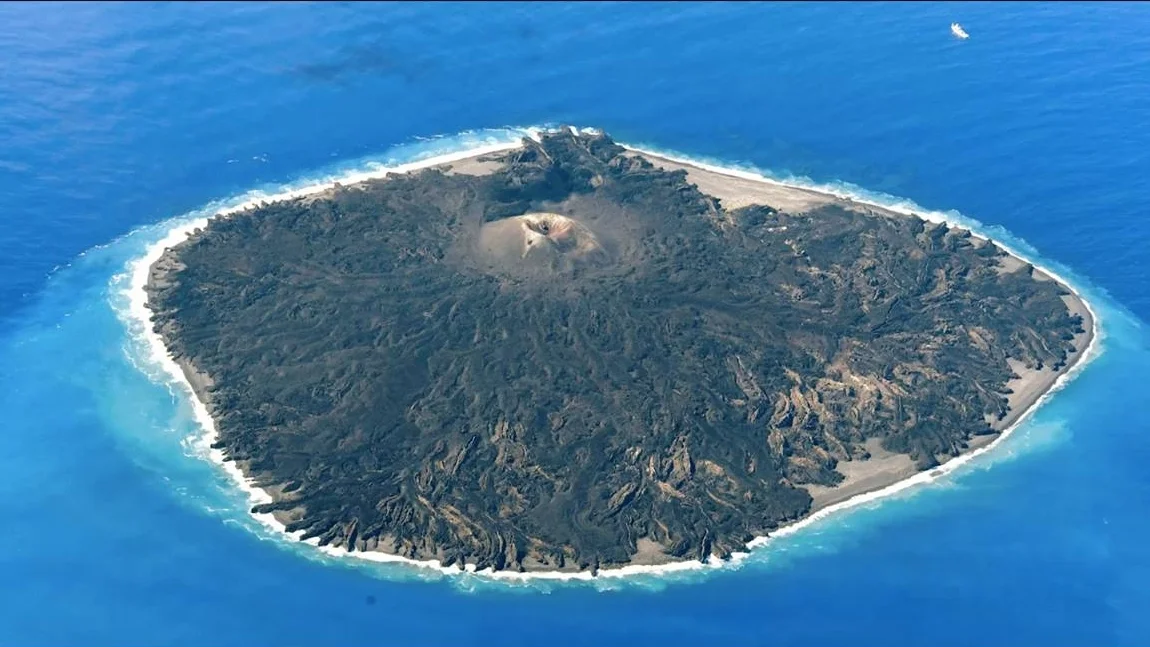 Seeker - Life Begins To Bloom On Newest Volcanic Island