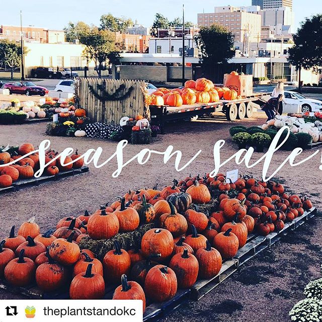 Season Sale at @theplantstandokc! #Repost @theplantstandokc
・・・
We&rsquo;re kicking off our season sale! 50% off specialty pumpkins and 10% off jacks! Grab yours today! 🎃🎃🎃