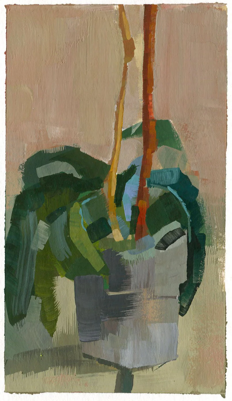 Orchid_Stone_Pirrie_Casey.jpg