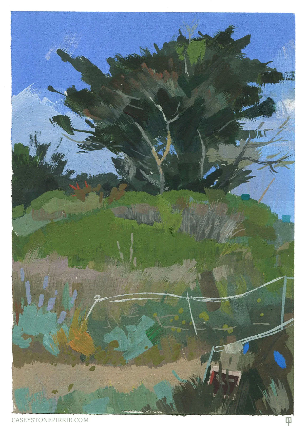 SantaCruz_Stone_Pirrie_Casey.jpg