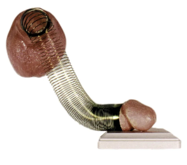 slinky dick