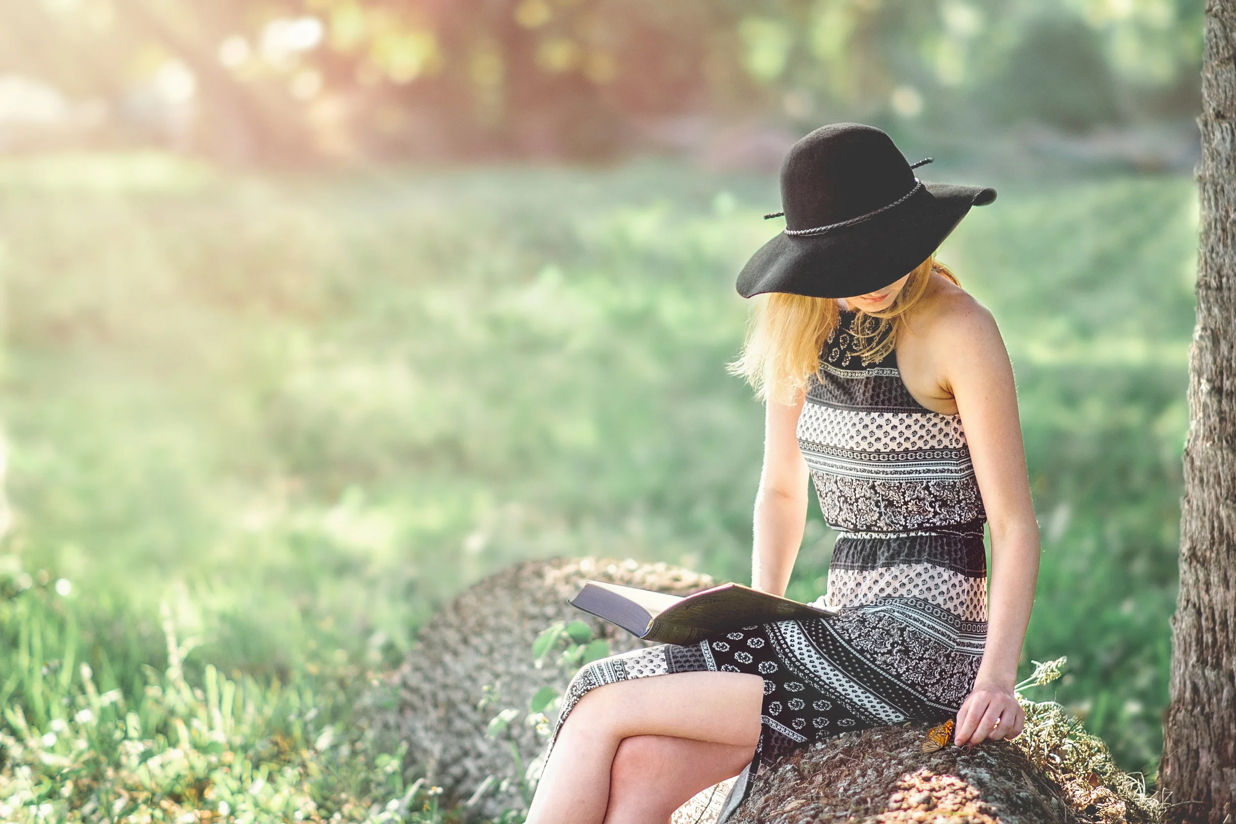 DSC_4549-Edit.jpg