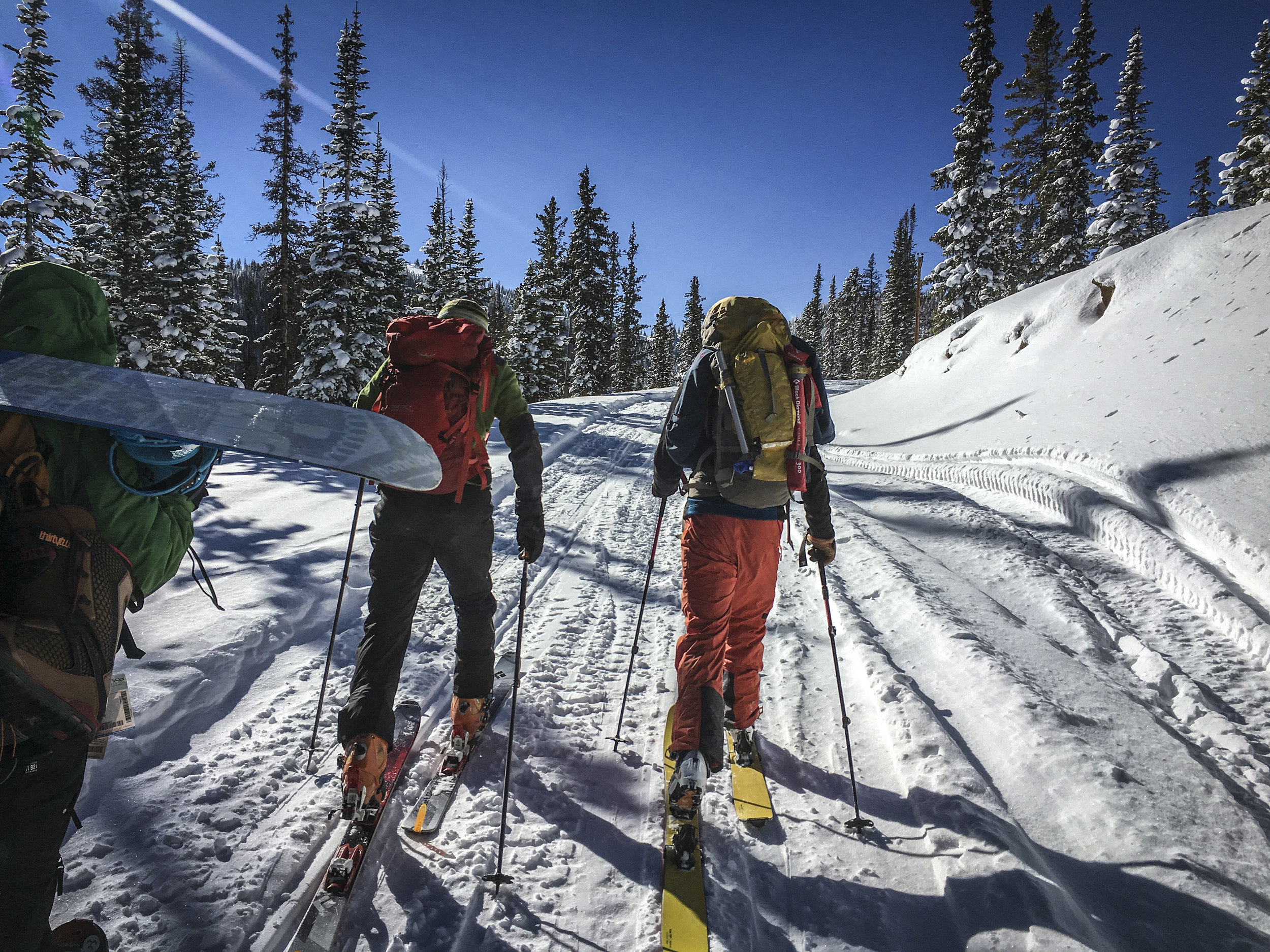 Backcountry skiers skin up Old Monarch Pass road, en route for avalanche burial scenarios, beacon practice, and some fresh lines. 