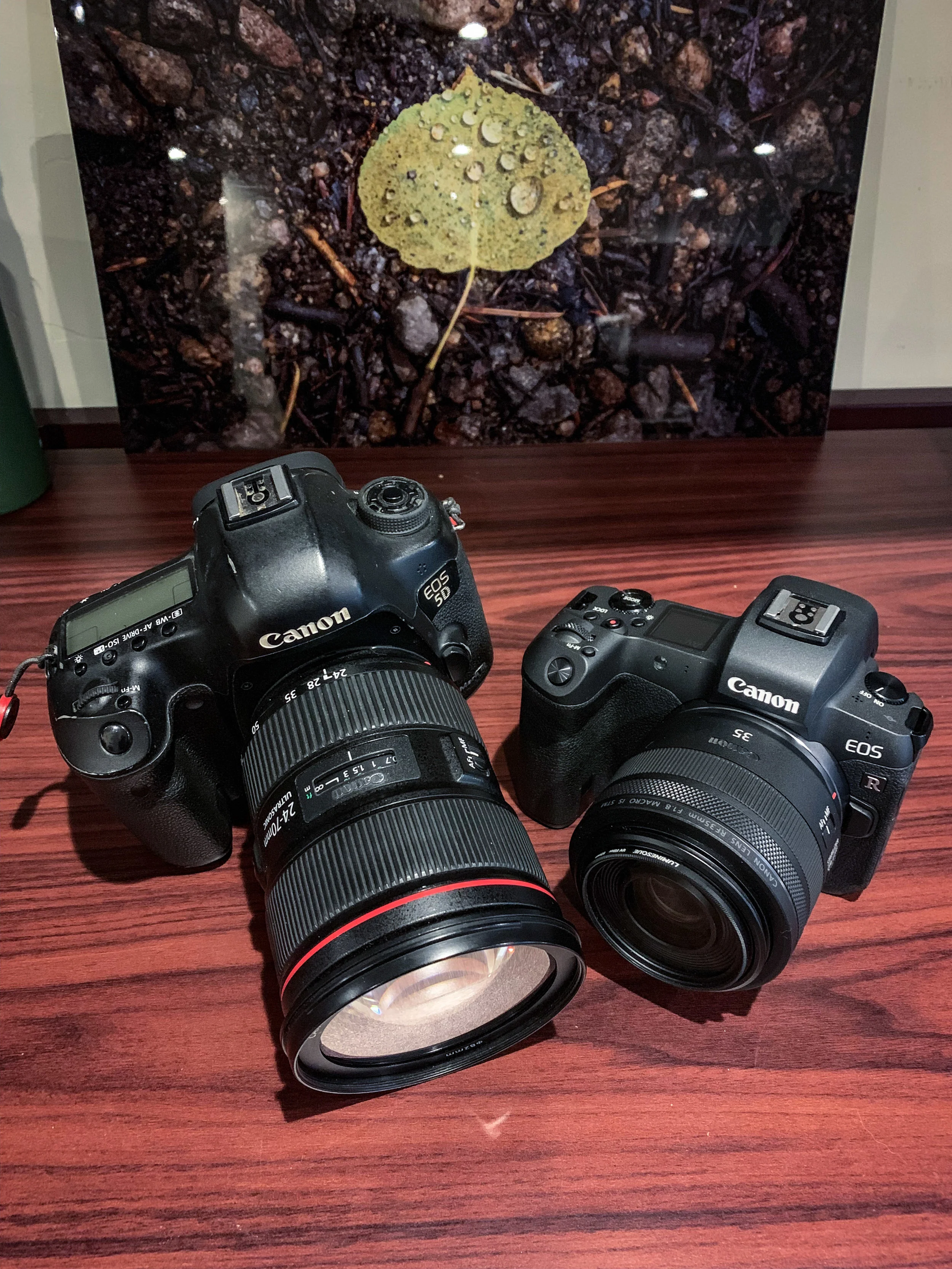 The EOS R compared with my 5DMIII.