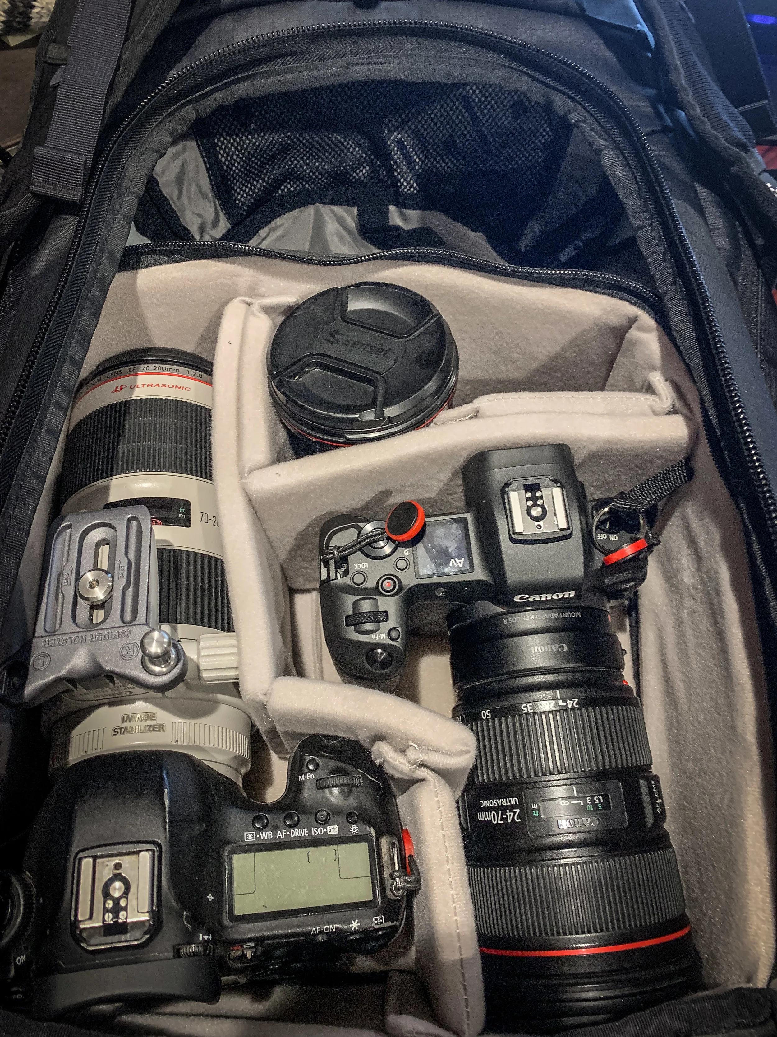 Not much space left in my camera bag with these two beasties living inside.
